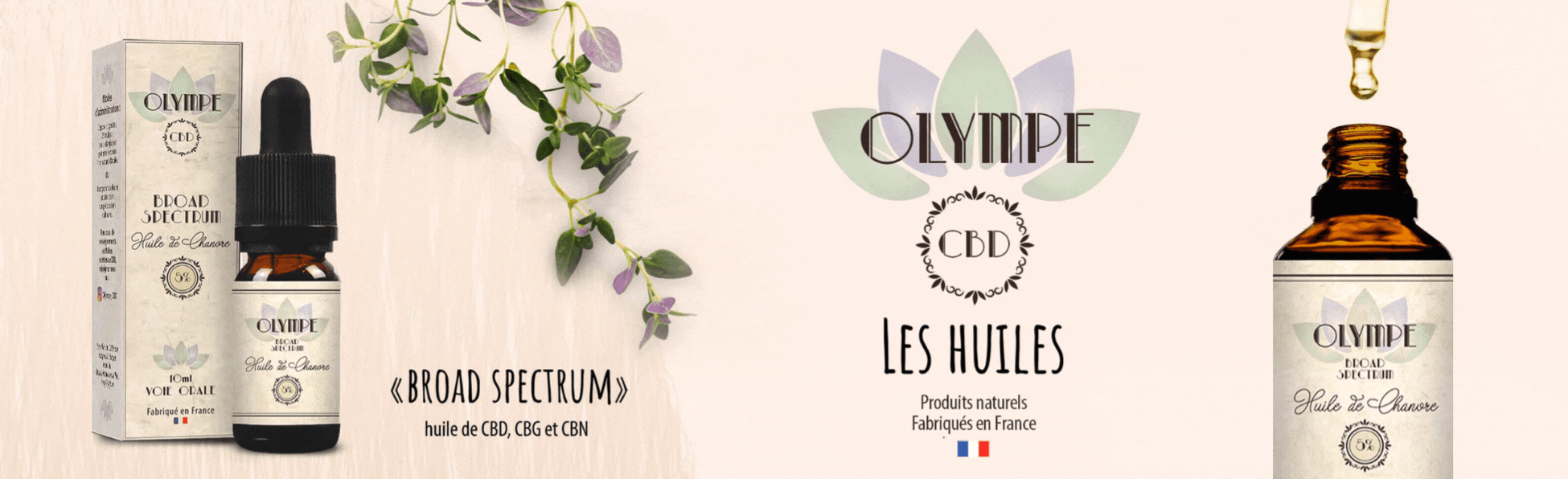 Bannière_Olympe_CBD